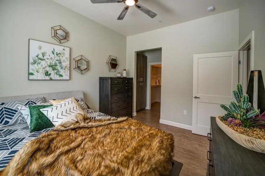 Apartment bedroom with a green throw pillow, a fur blanket and a cactus planter