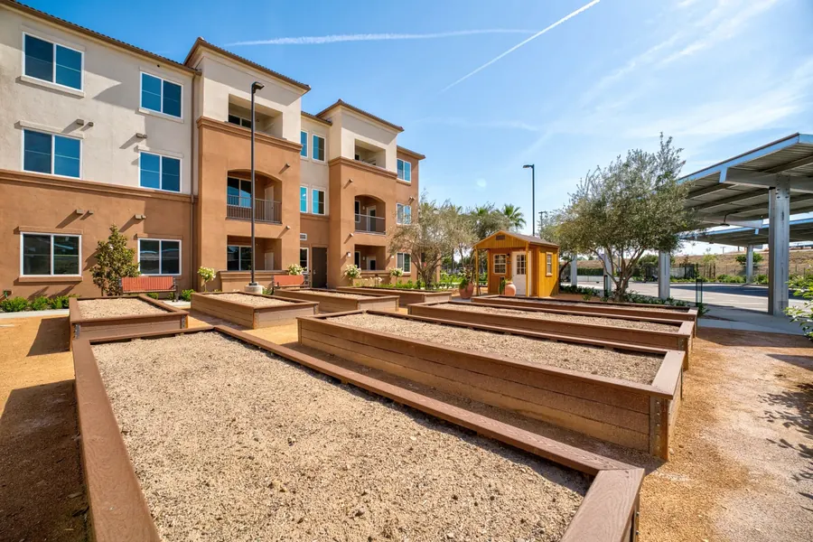 Raised garden beds in an apartment courtyard under a clear sky