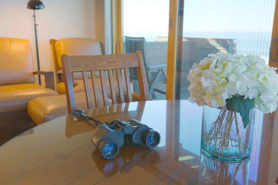 Flowers and binoculars on a hotel window table