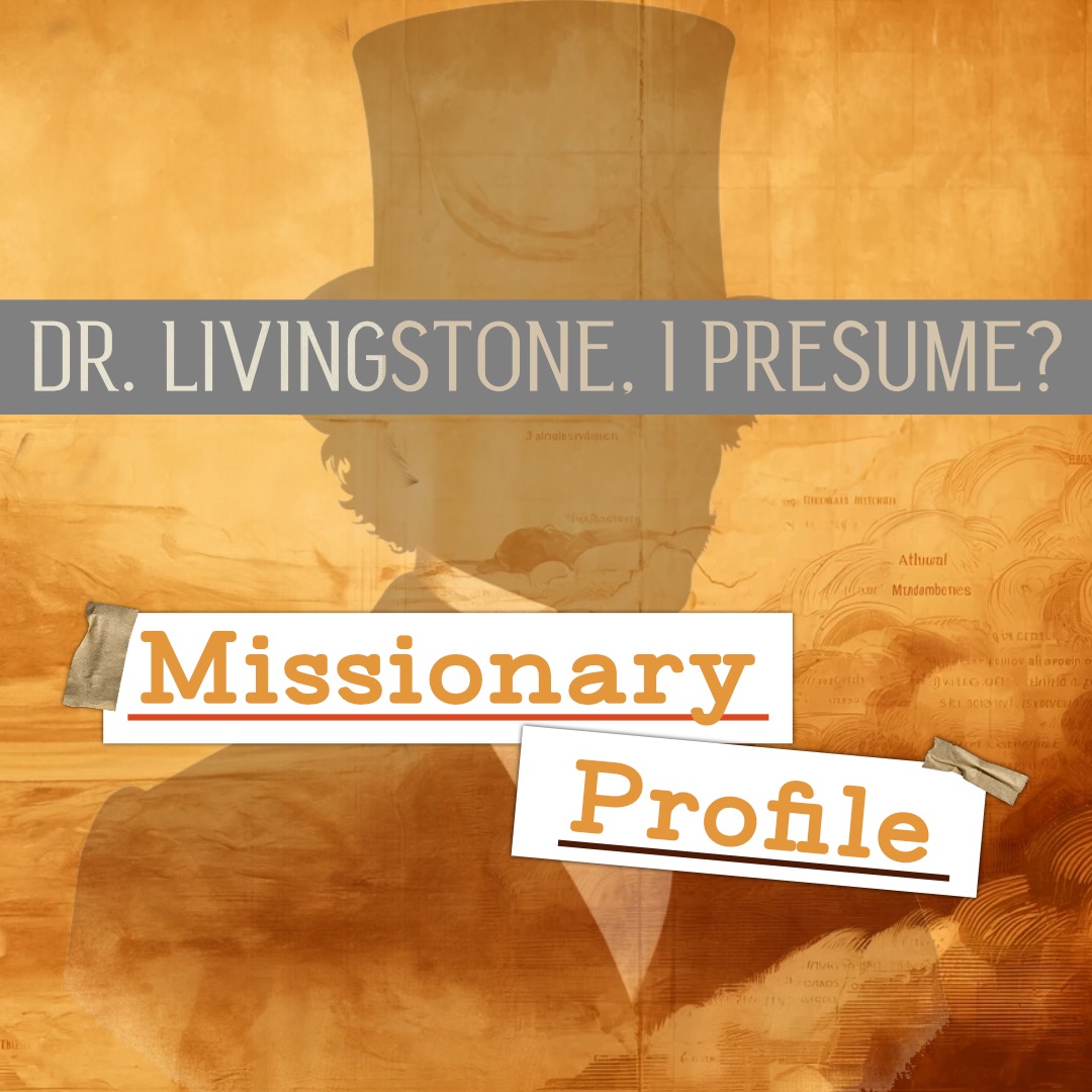 Any Video By Blocs Builder