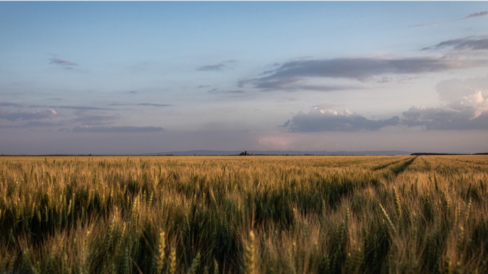 placeholder image-sq