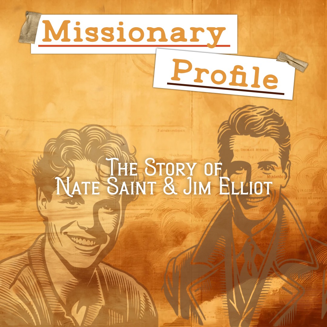 Any Video By Blocs Builder